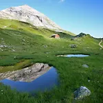 Haus Alpina In & Out Prázdninový dům
