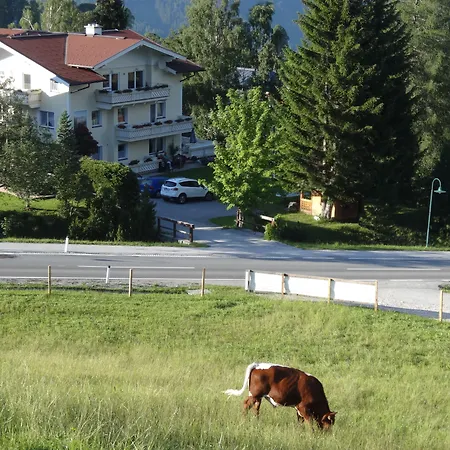 Prázdninový dům Haus Alpina In & Out