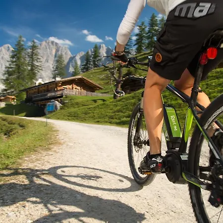 Holiday home Haus Alpina In & Out Schladming