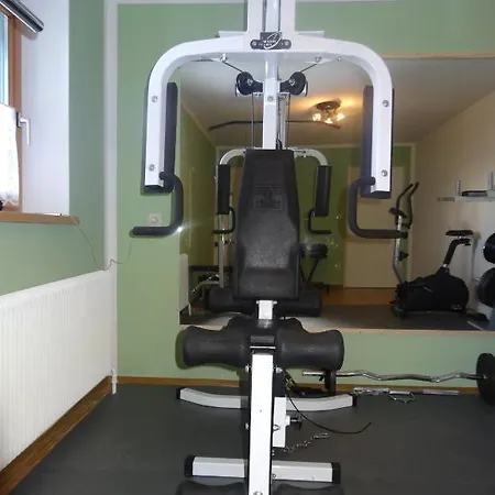 Haus Alpina In & Out Tatil Evi Schladming