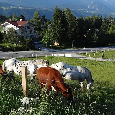 Tatil Evi Haus Alpina In & Out *