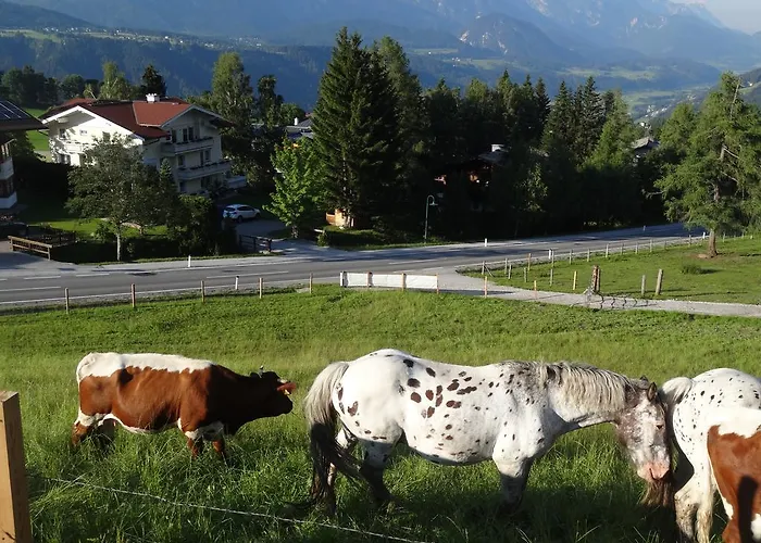 Дом отдыха Haus Alpina