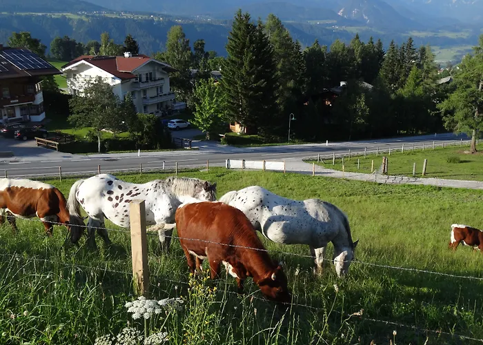 Haus Alpina Дом отдыха Шладминг