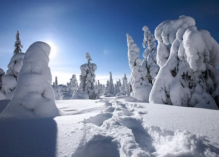 Haus Alpina In & Out * Schladming